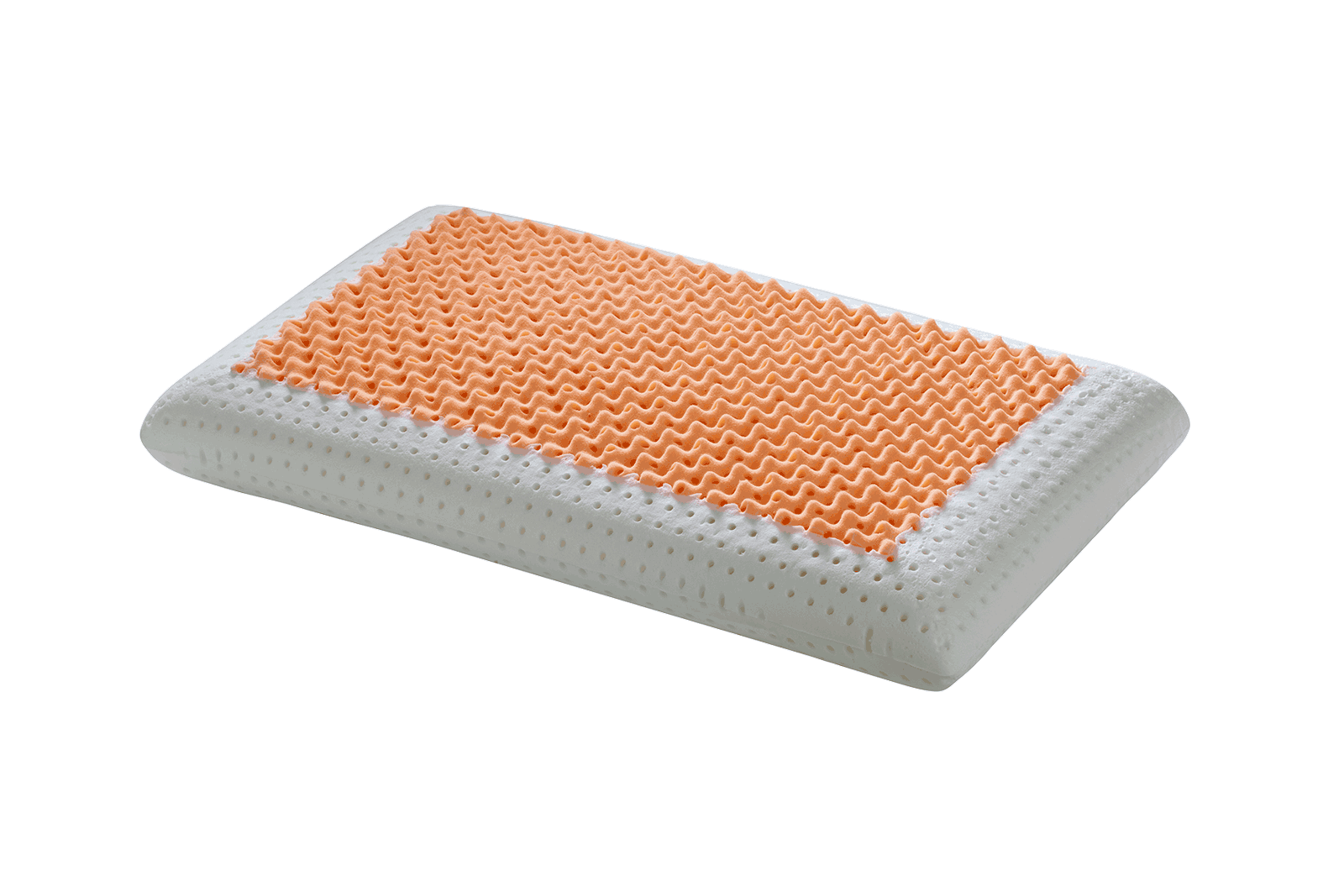 Guanciale dual natura