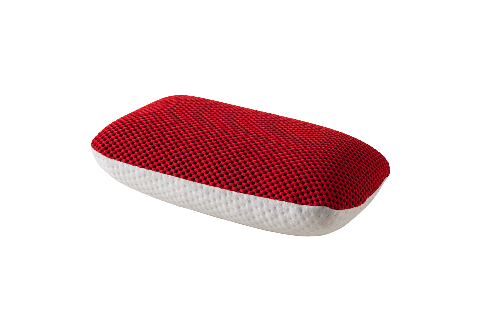 Travel entrain pillow outlet