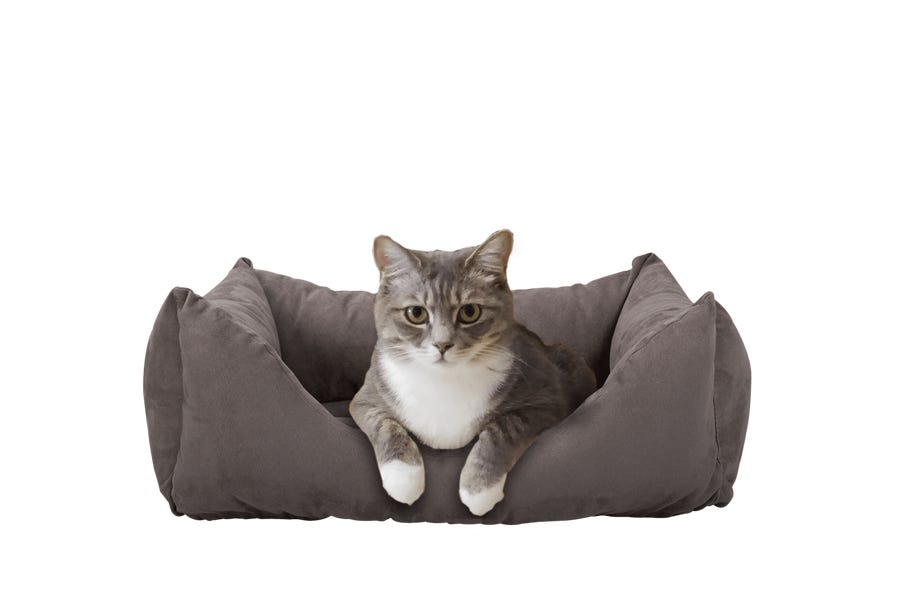 Cuccia Per Gatti Con Cuscino Lavabile - Design A Nido Morbido, Anti-scivolo, A Forma Di Muso - Foto 5